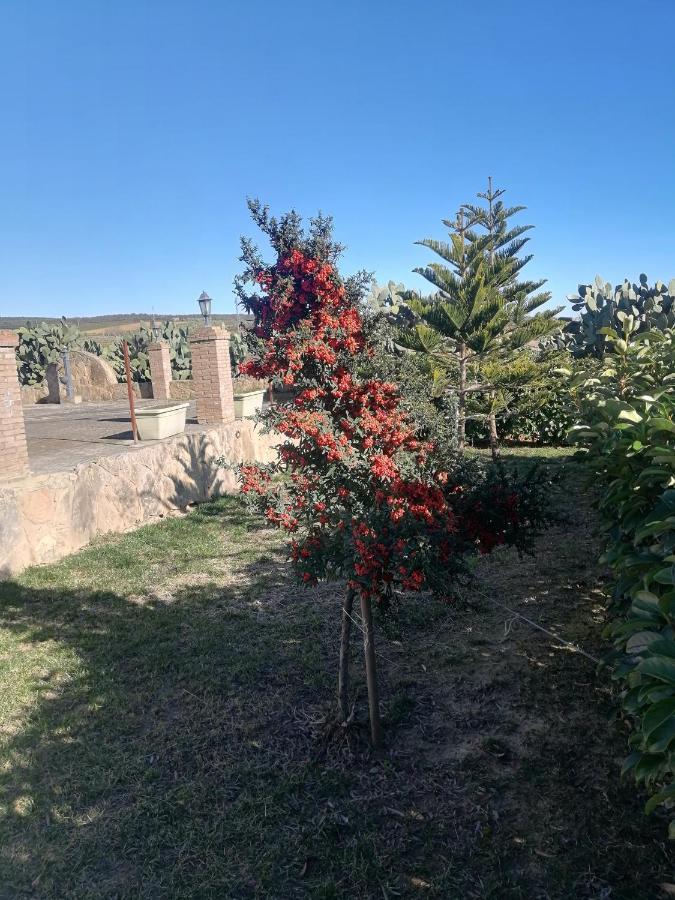 Villetta Immersa Nel Verde Piazza Armerina Extérieur photo