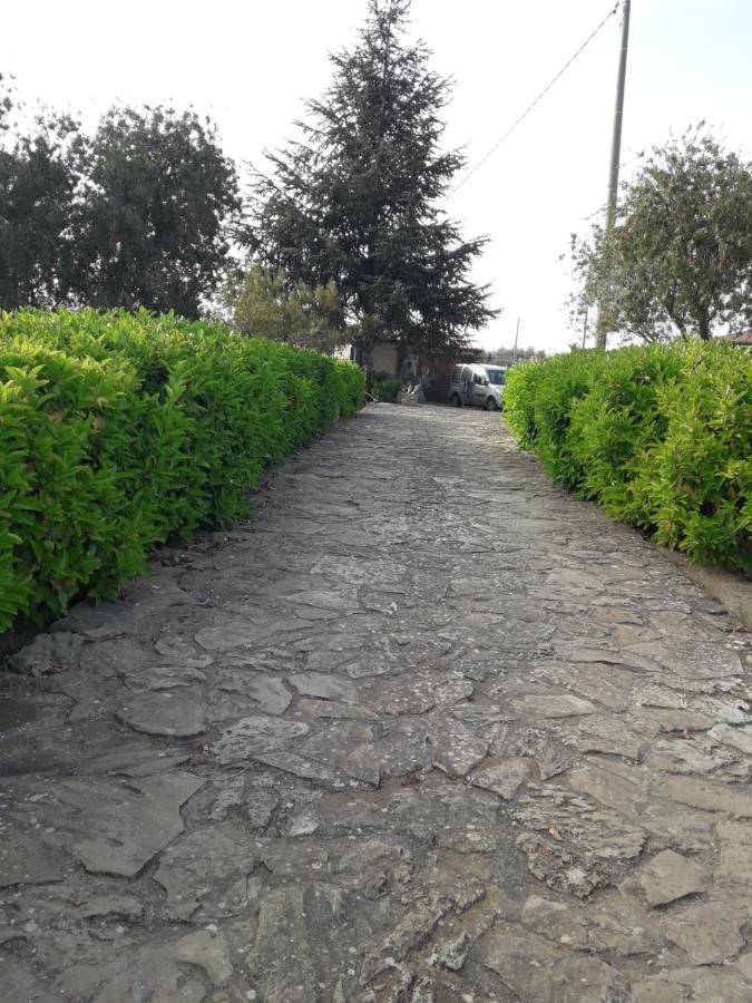 Villetta Immersa Nel Verde Piazza Armerina Extérieur photo